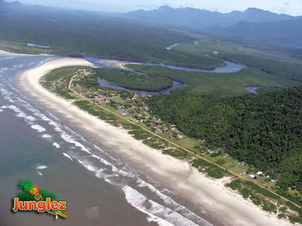 Junglez Eco Hostel Guarau Экстерьер фото