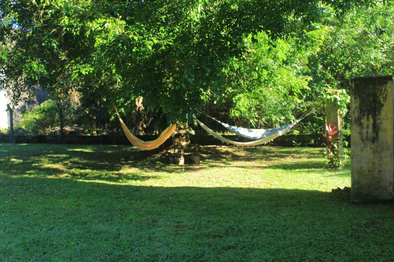 Junglez Eco Hostel Guarau Экстерьер фото